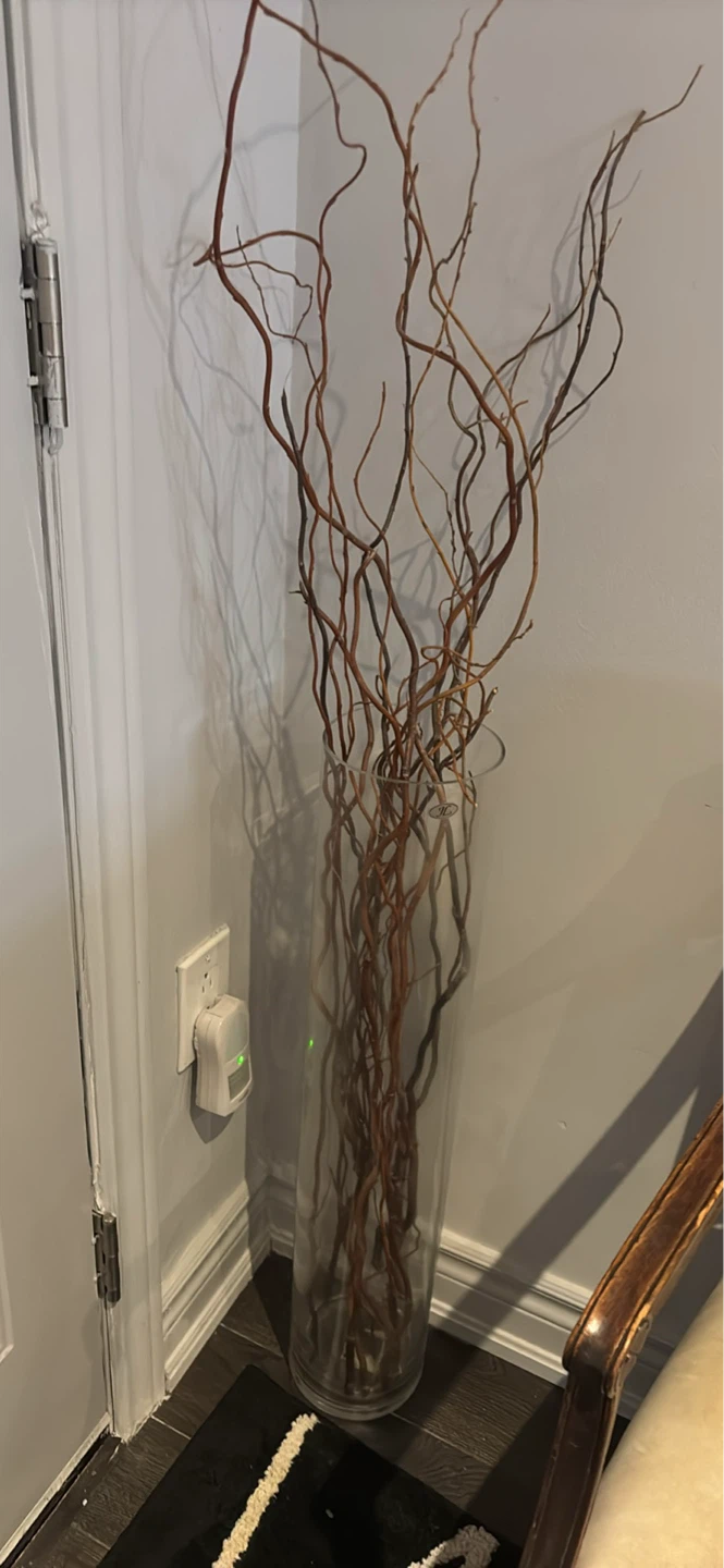 Decorative Branches in Large Glass Vase