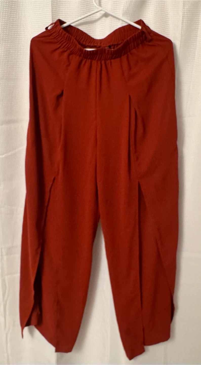Woman’s Pleated Pants(nwot)