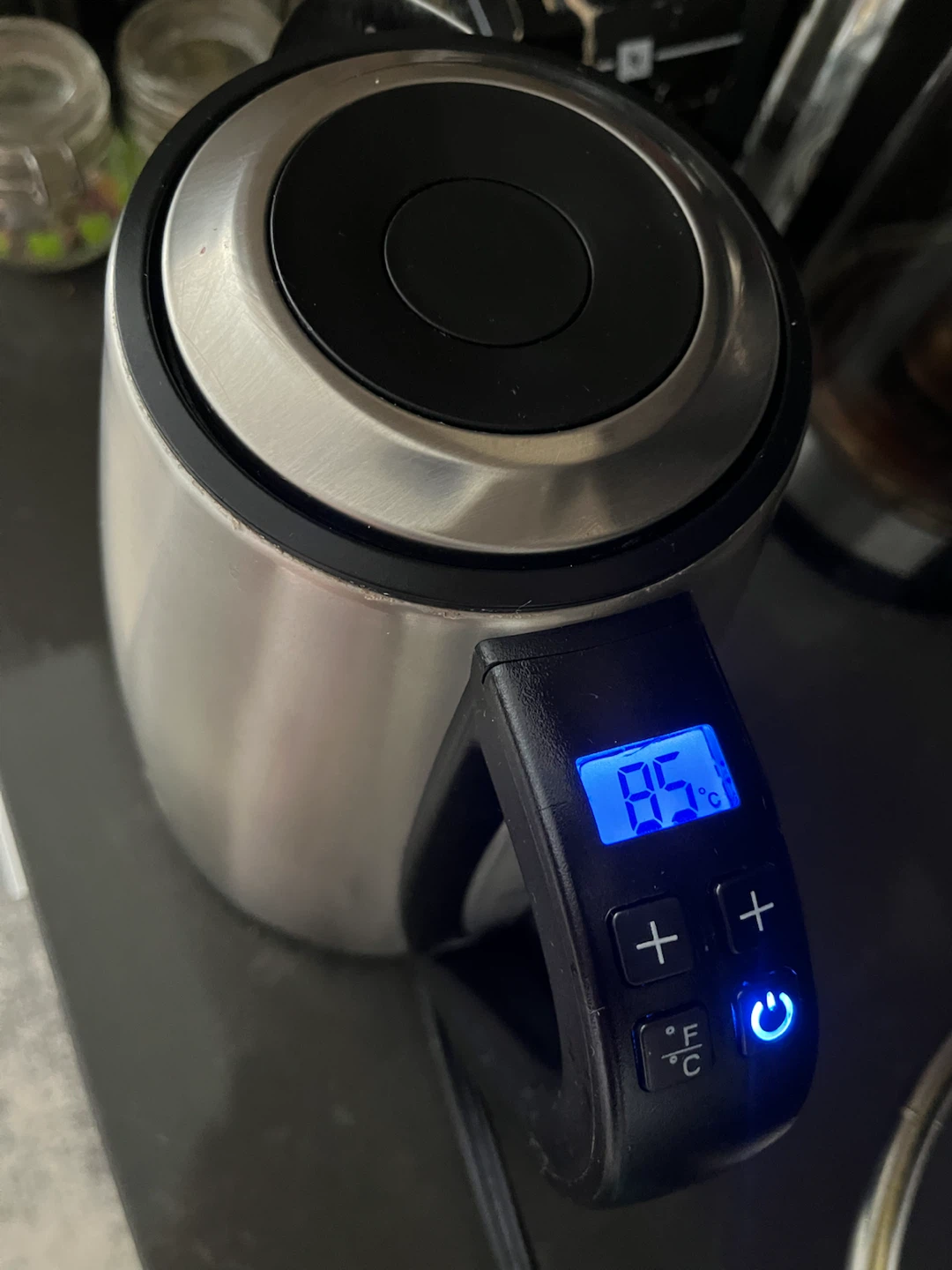 Salton Electric Kettle with Temperature Control