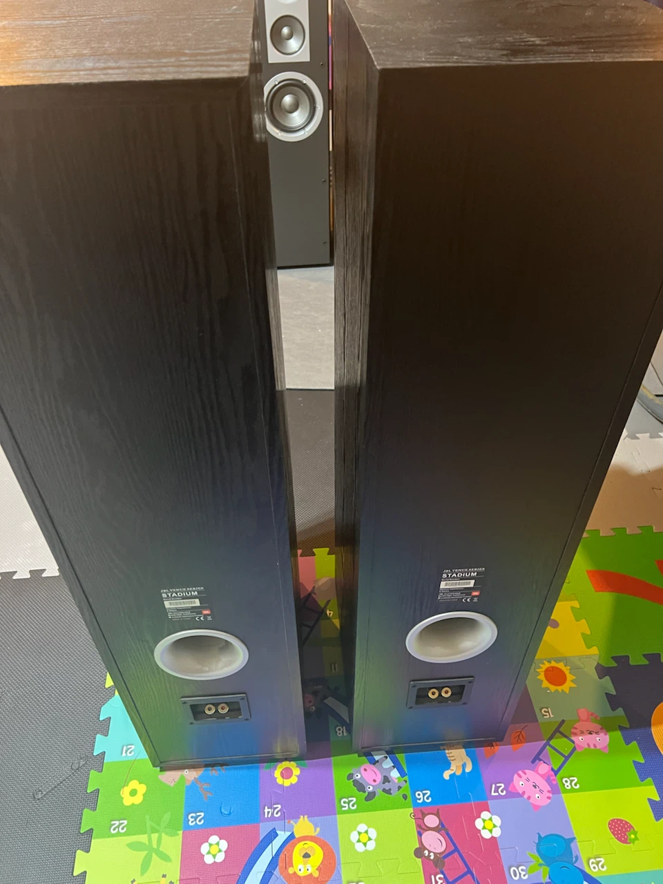 JBL Venue Series Stadium Floorstanding Speakers (Pair) - photo 2