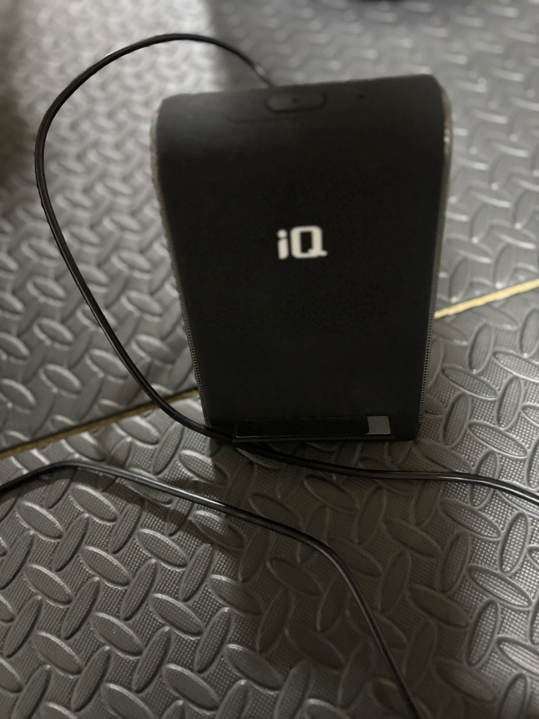 IQ Speaker