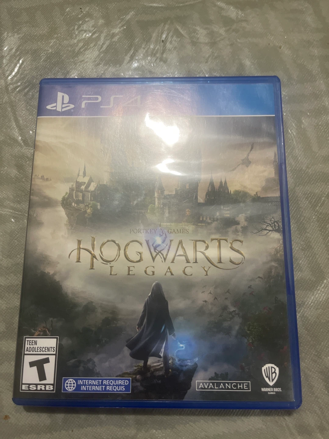 Hogwarts Legacy PS4 Game