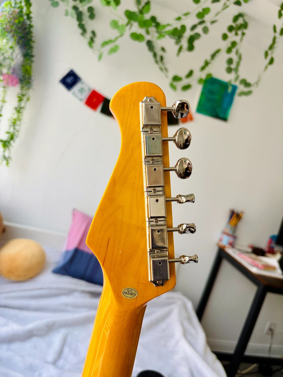 Never used Donner telecaster Guitar with Case and Accessories - photo 5