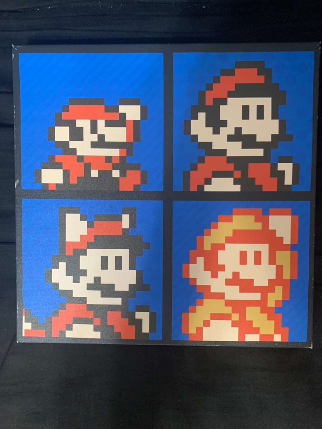 Super Mario Bros. Pixel Art Canvas