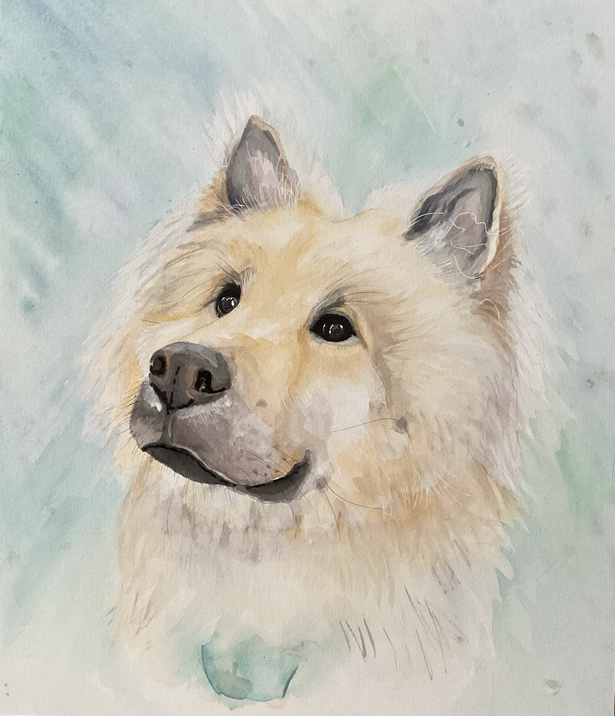 Hand-painted Watercolour Pet Portraits - photo 3