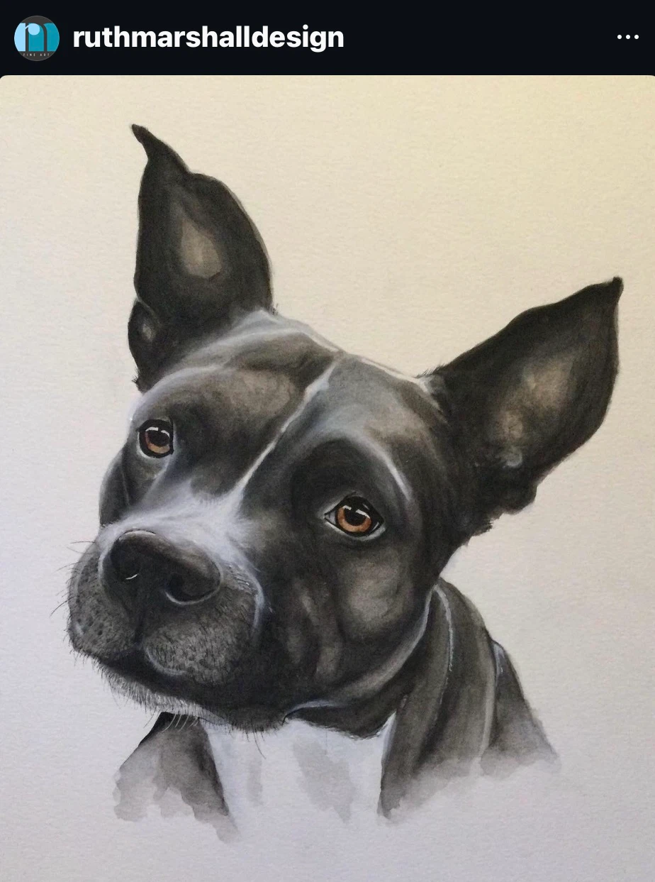 Hand-painted Watercolour Pet Portraits - photo 5