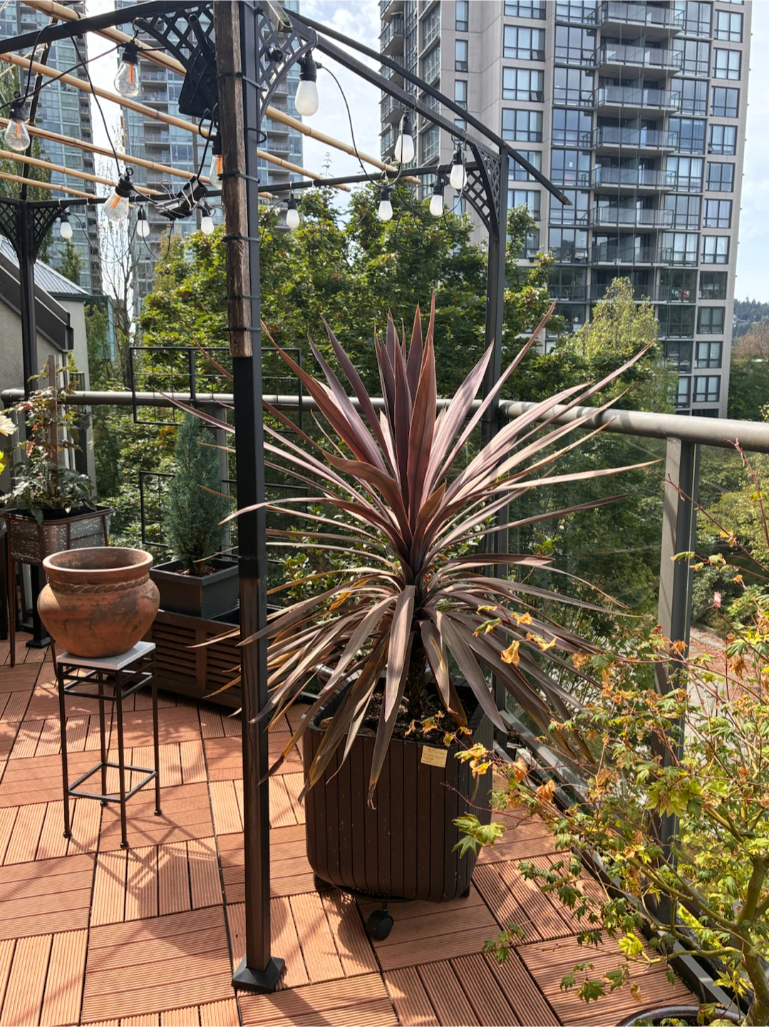 Tropical Tree Plant in Planter - photo 5