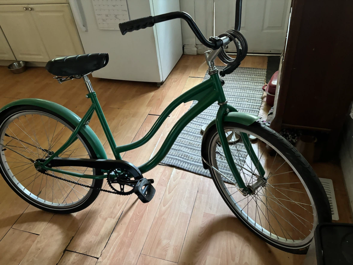 Green Cruiser Bicycle