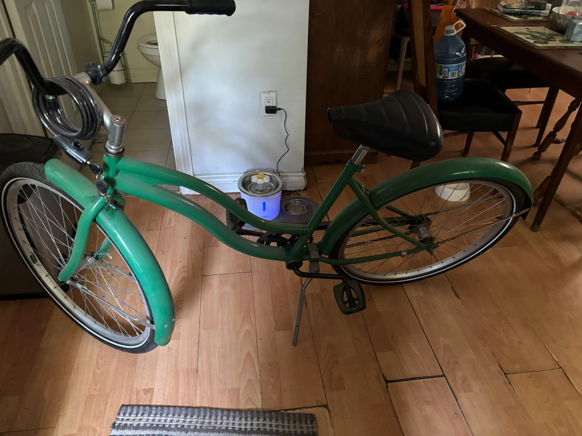 Green Cruiser Bicycle - photo 2