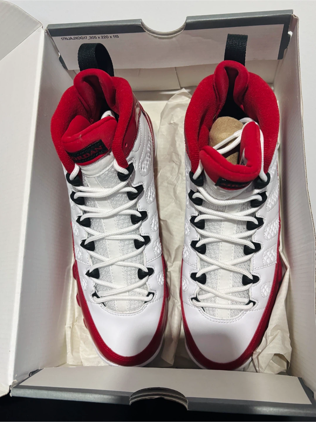 Air Jordan 9 Retro GS