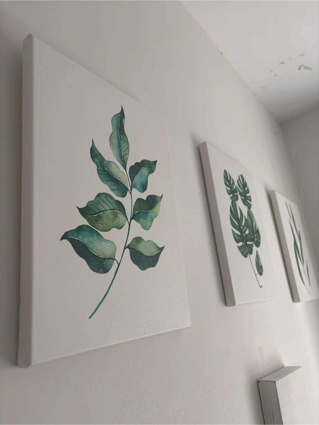 Botanical Canvas Wall Art Set