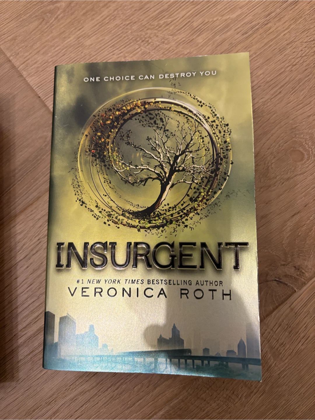 Divergent, Insurgent, Allegiant Books by Veronica Roth - photo 3