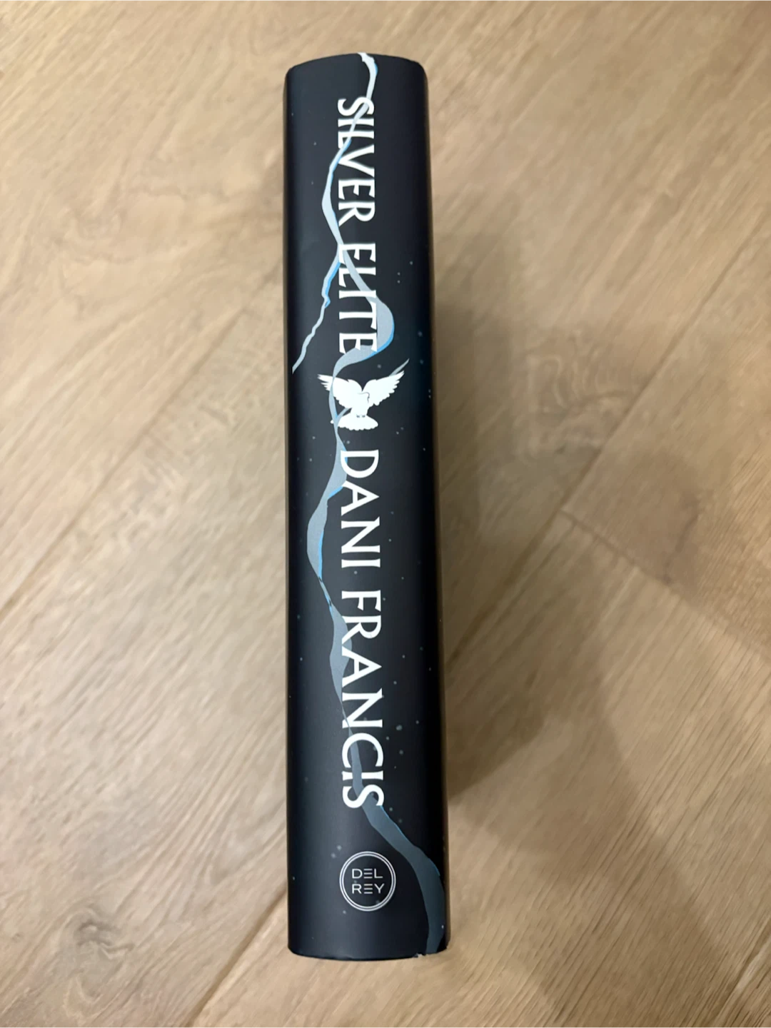 Silver Elite by Dani Francis hardcover sprayed edge - photo 2