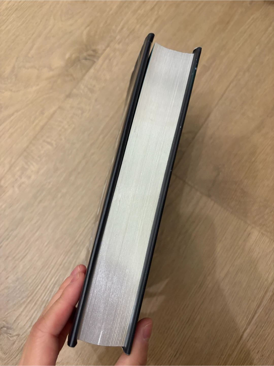 Silver Elite by Dani Francis hardcover sprayed edge - photo 4