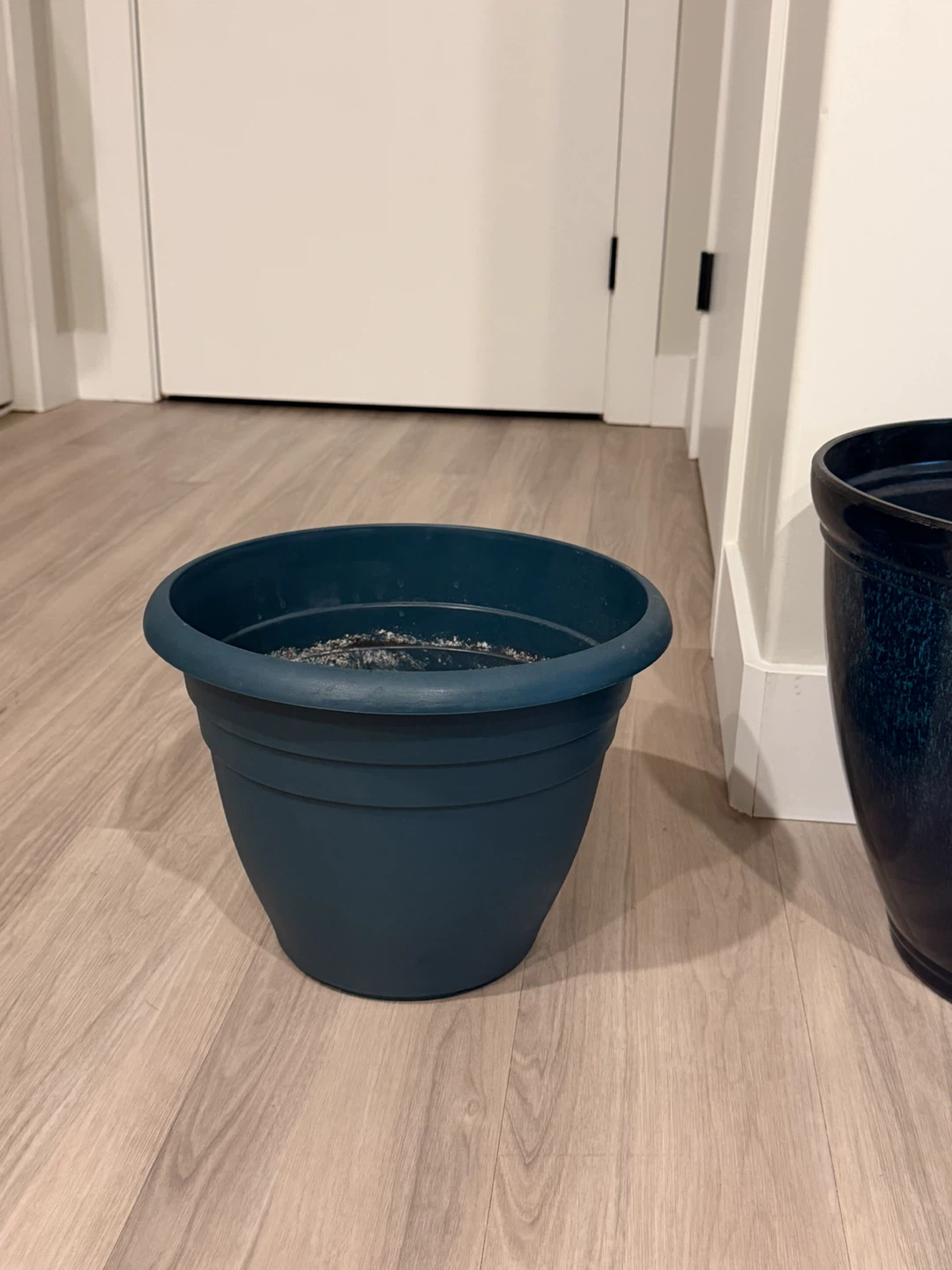 Free planter pots