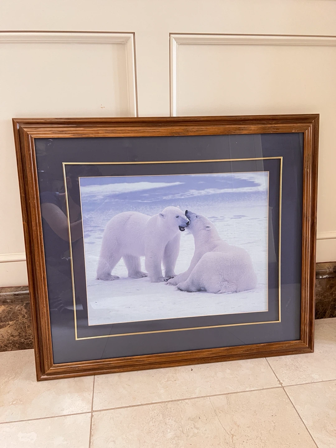 Framed Polar Bear Art