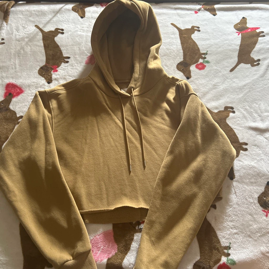Cozi Cropped Hoodie