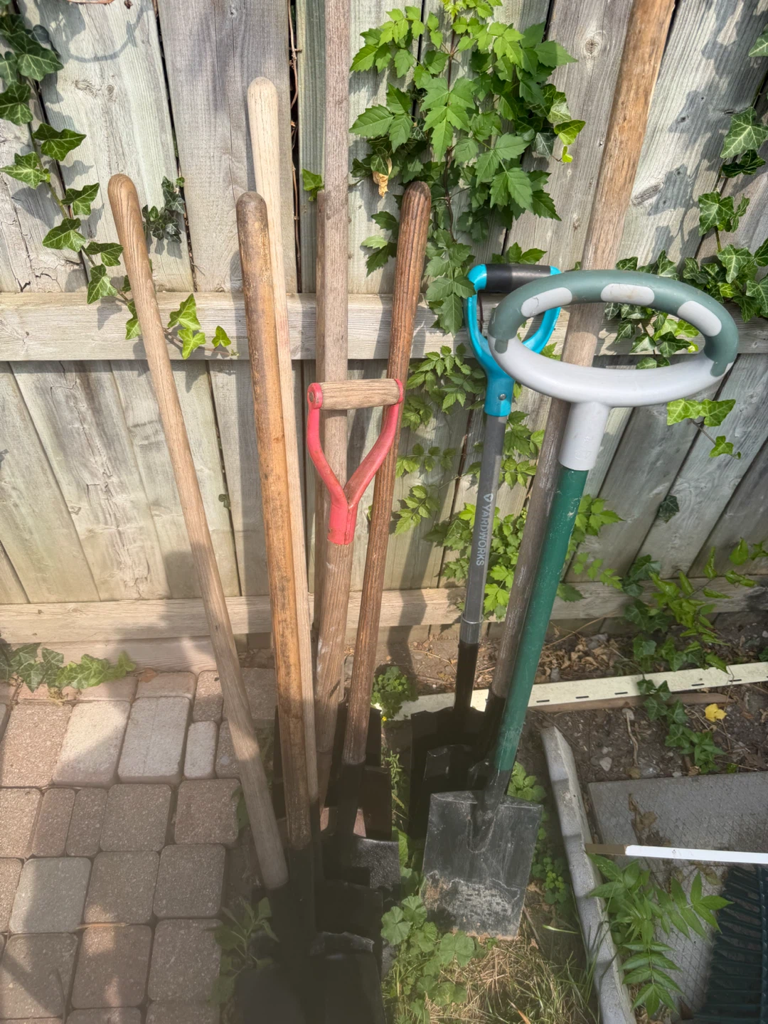 Assorted Garden Shovels and Spades- 15$ each - photo 2