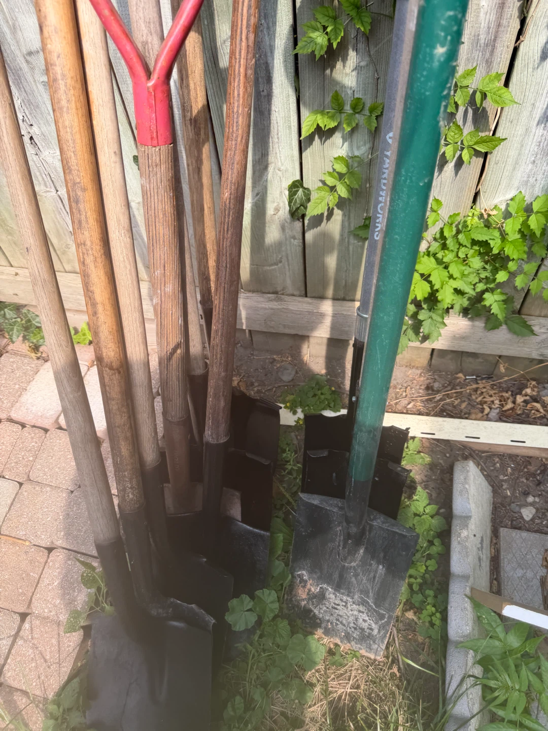 Assorted Garden Shovels and Spades- 15$ each - photo 3