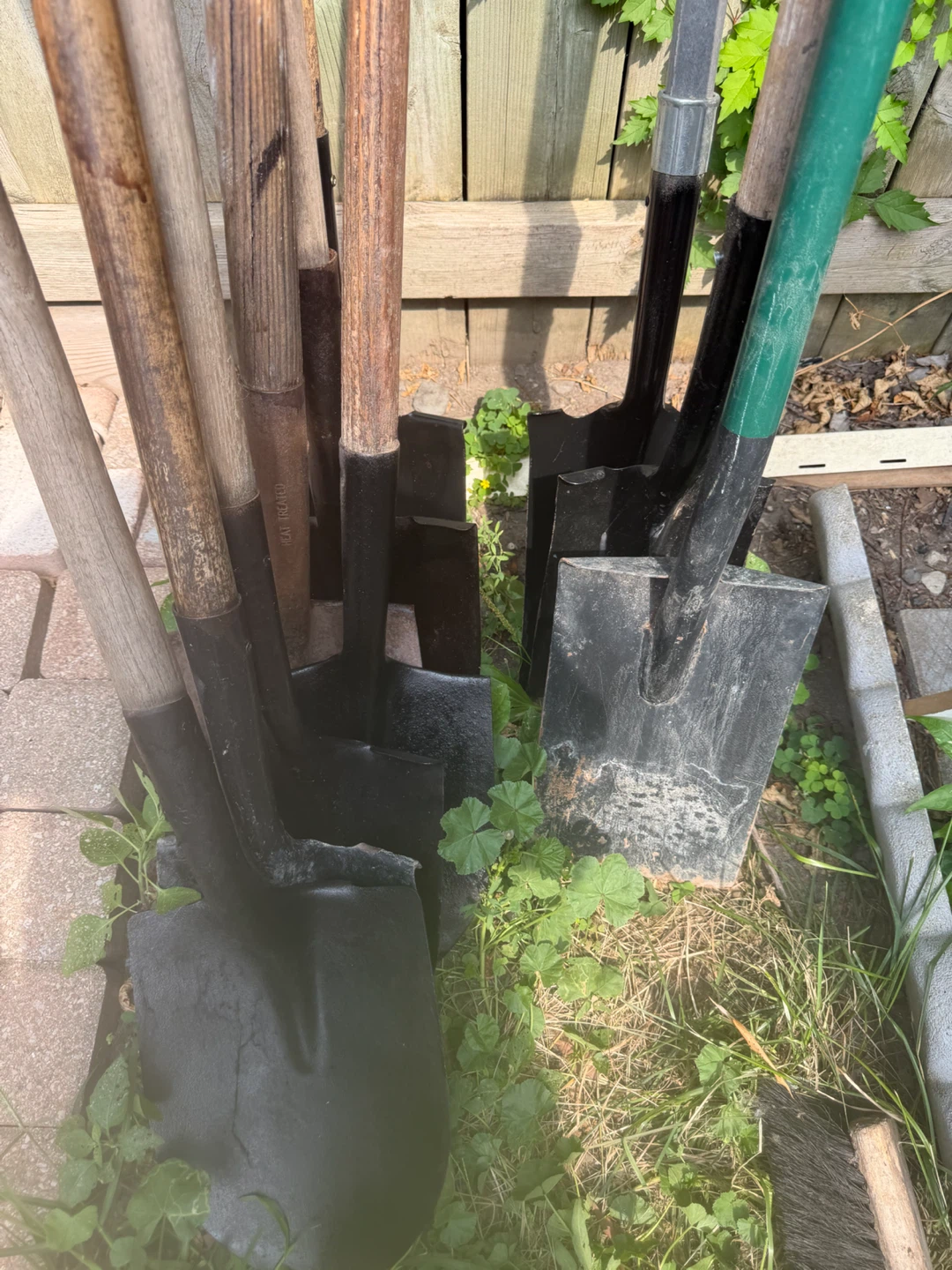 Assorted Garden Shovels and Spades- 15$ each - photo 4