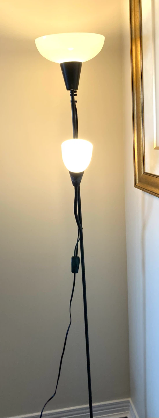 Black Floor Lamp with Reading Light