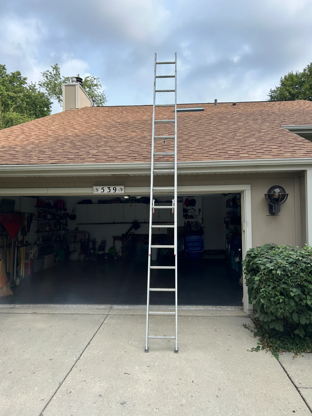 Werner SAF-T-MASTER D1124-2 Ladder