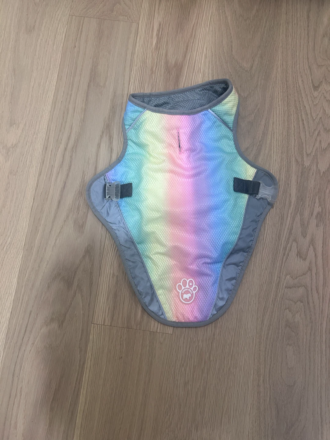 Rainbow Dog Cooling Vest