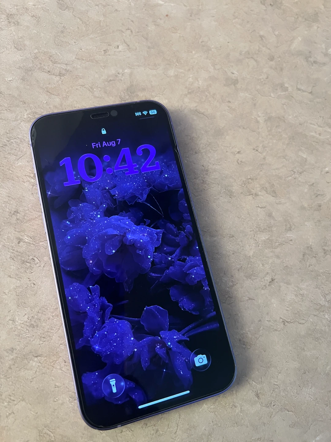 Apple iPhone 12 Purple - photo 4