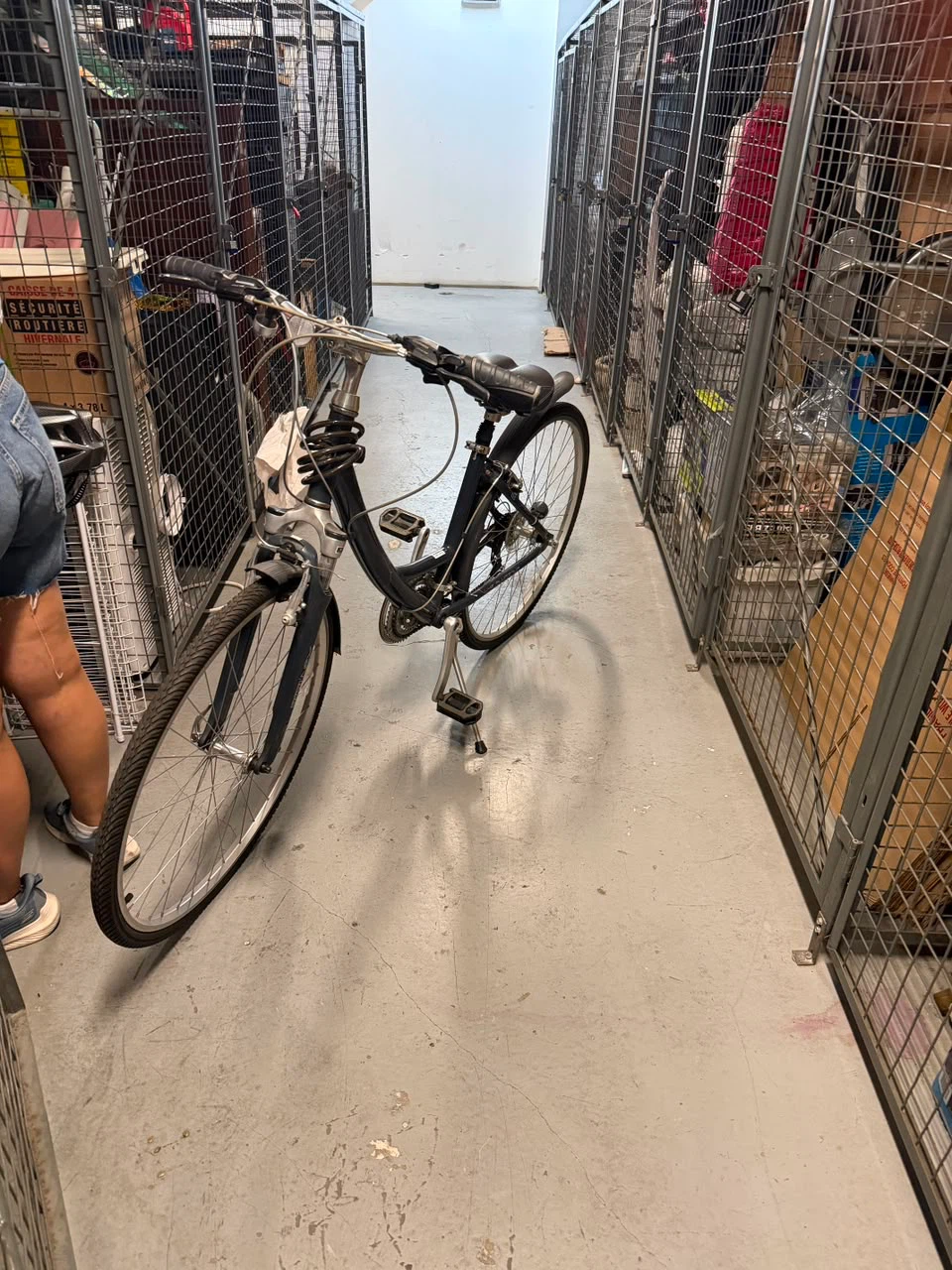 Blue Bicycle