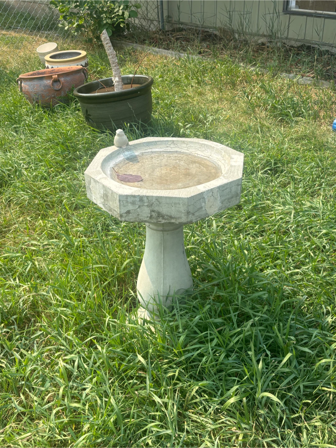 Concrete Bird Bath