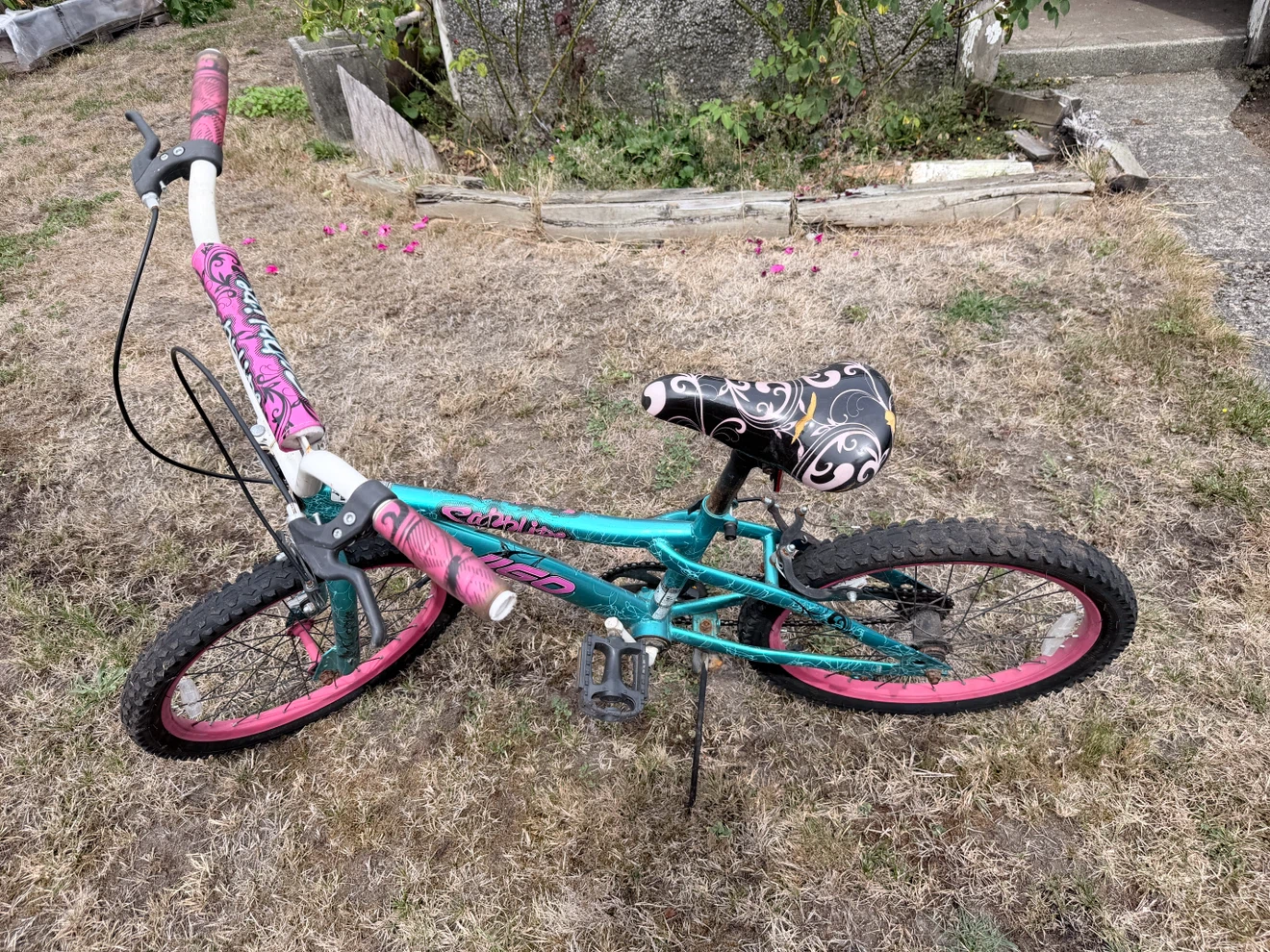 Girls Teal and Pink Bicycle