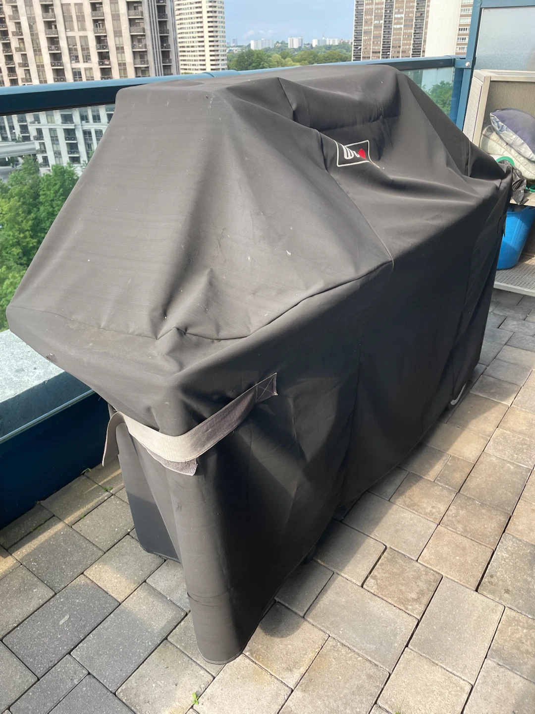 Weber BBQ Grill