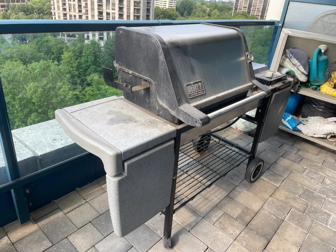 Weber BBQ Grill - photo 2