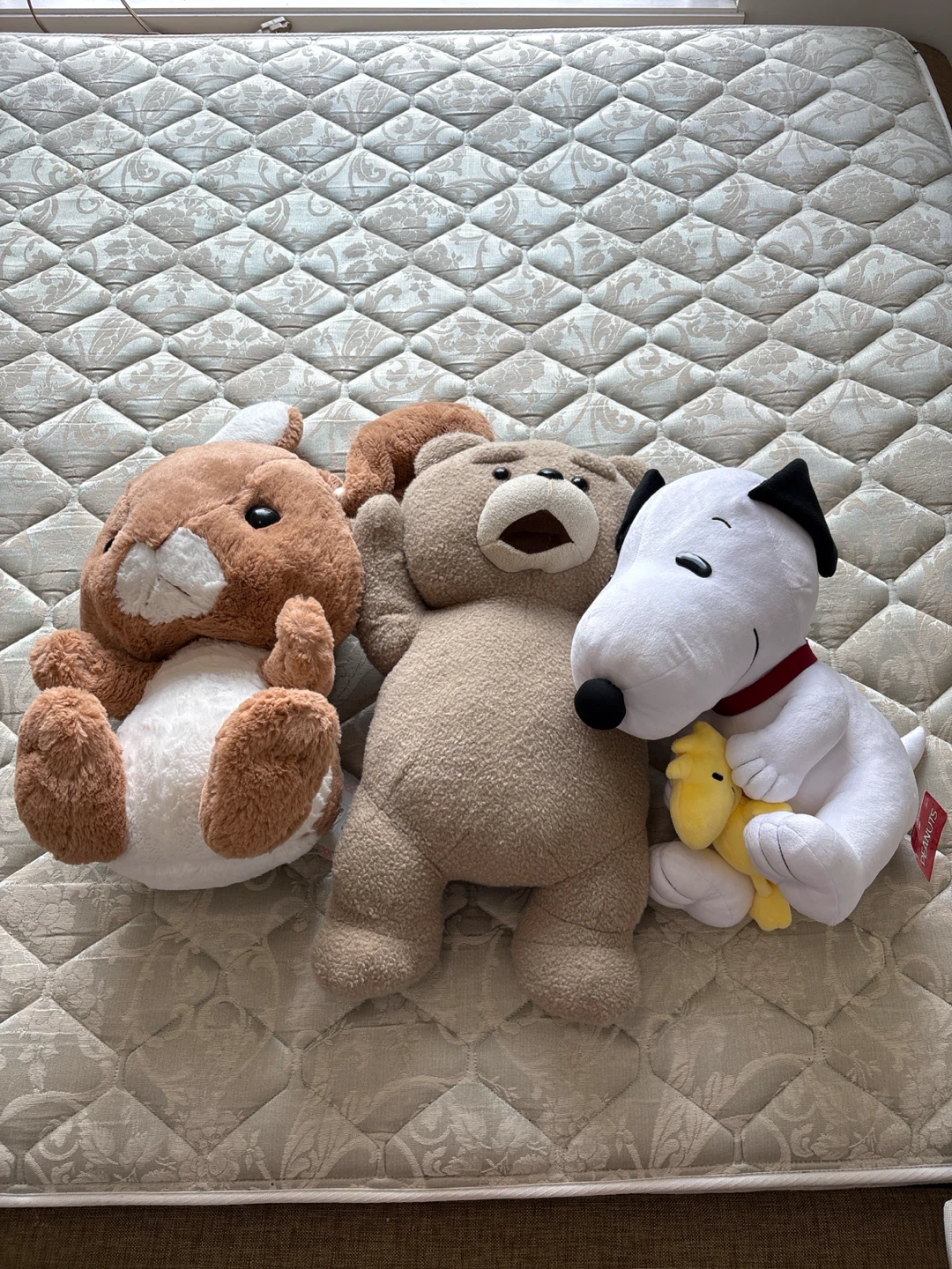 Plush Toy Bundle: Ted, Snoopy, and Bunny