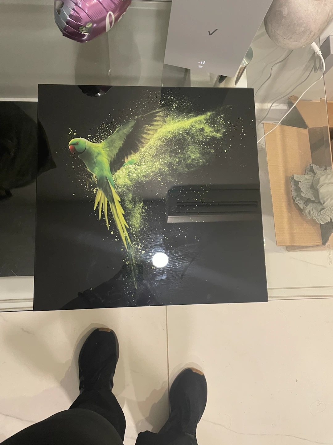 Wall Art - Parrot Design
