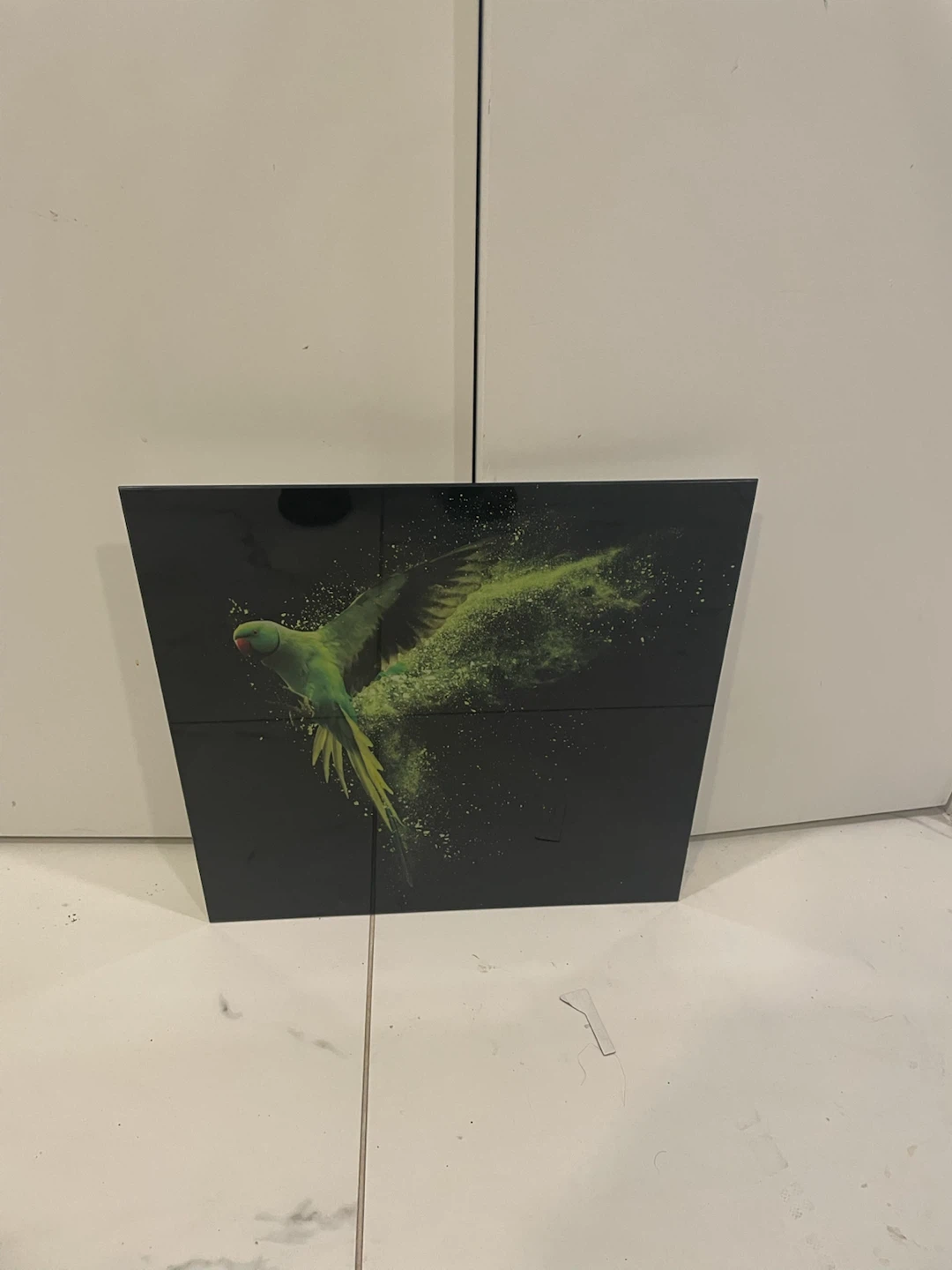 Wall Art - Parrot Design - photo 2