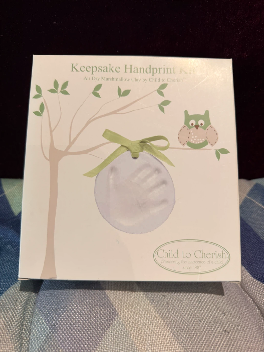 Child to Cherish Keepsake Handprint Kit