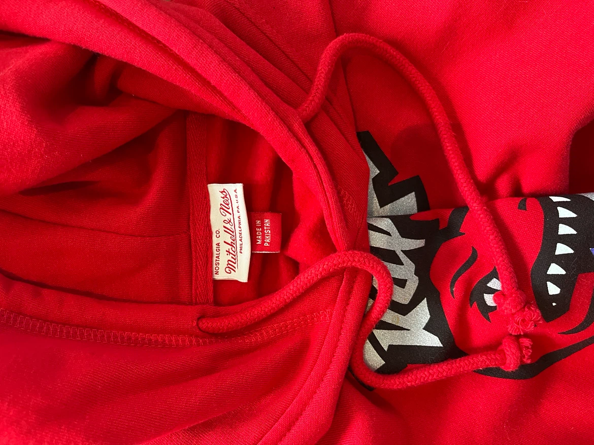 Mitchell & Ness Toronto Raptors Hoodie - photo 3