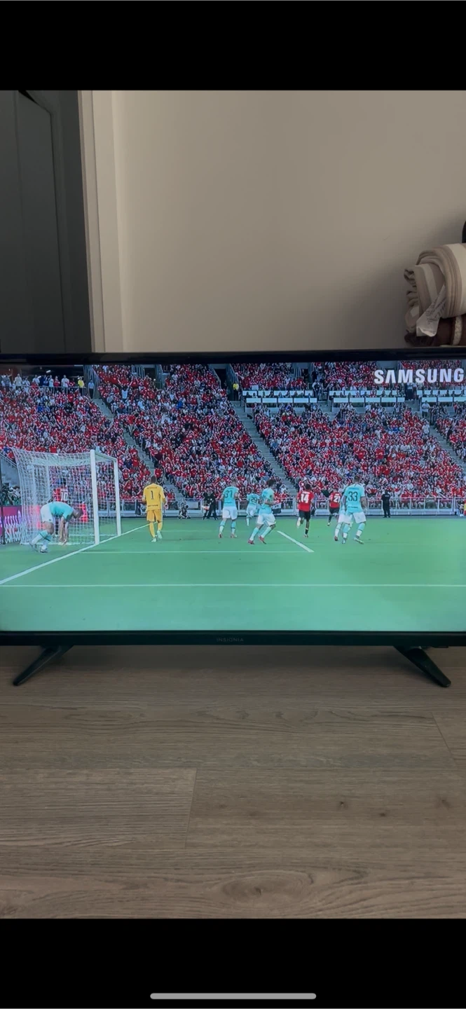 32 in TV + chromecast