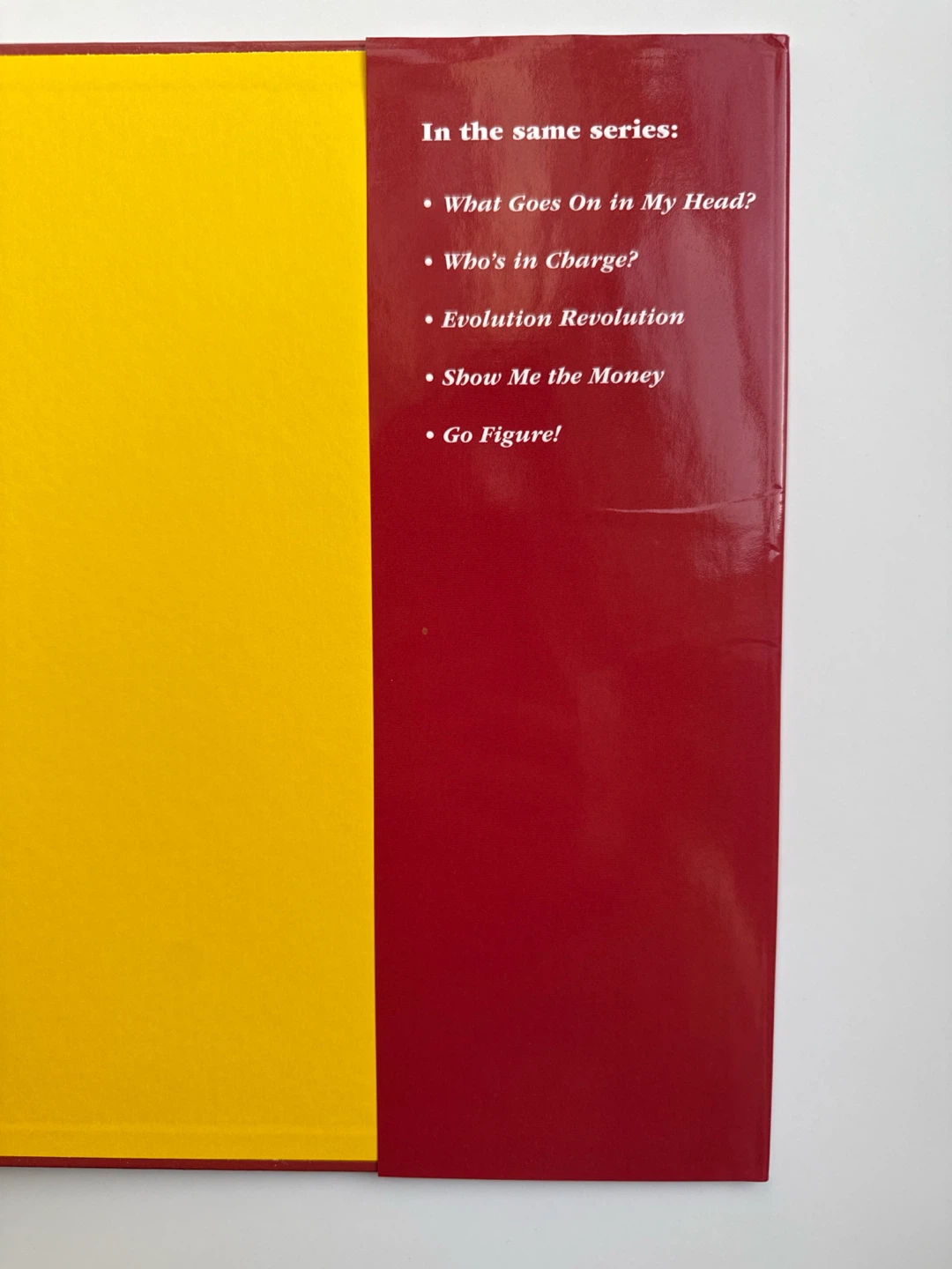 DK ‘What Do You Believe?’ Book - photo 4