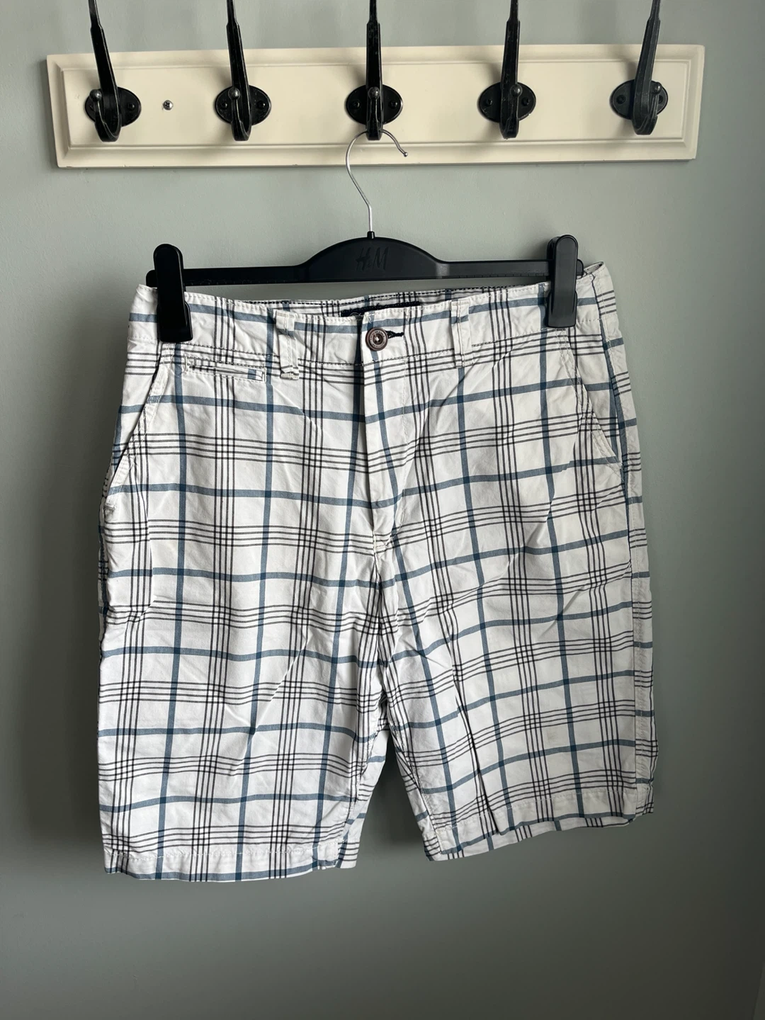 American Eagle Outfitters Men's Plaid Shorts