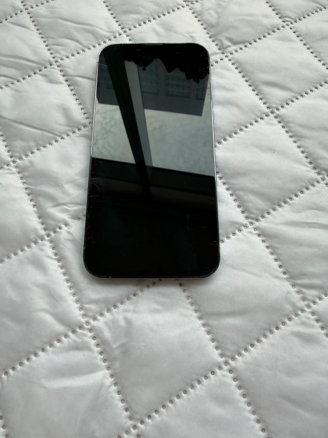 Apple iPhone 13 Pro - photo 3