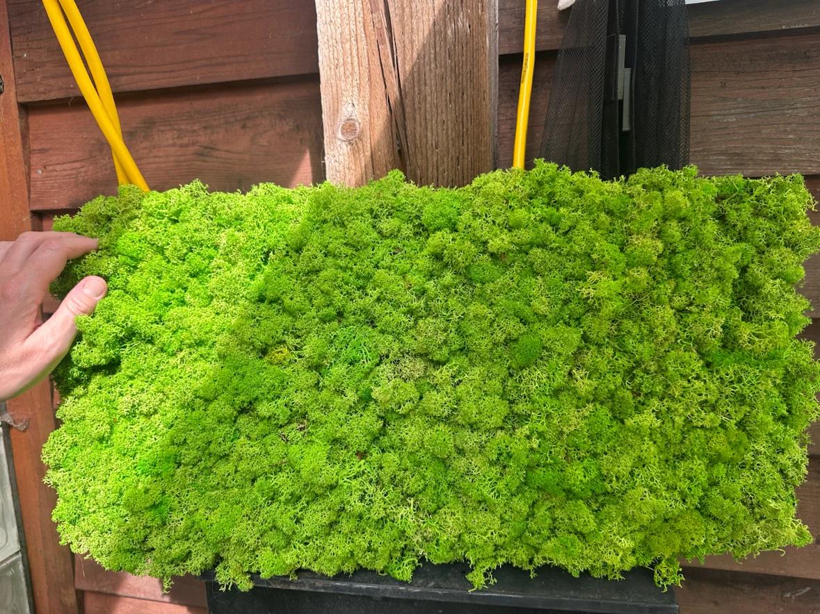 Living Moss panel 2foot x 1foot - photo 2