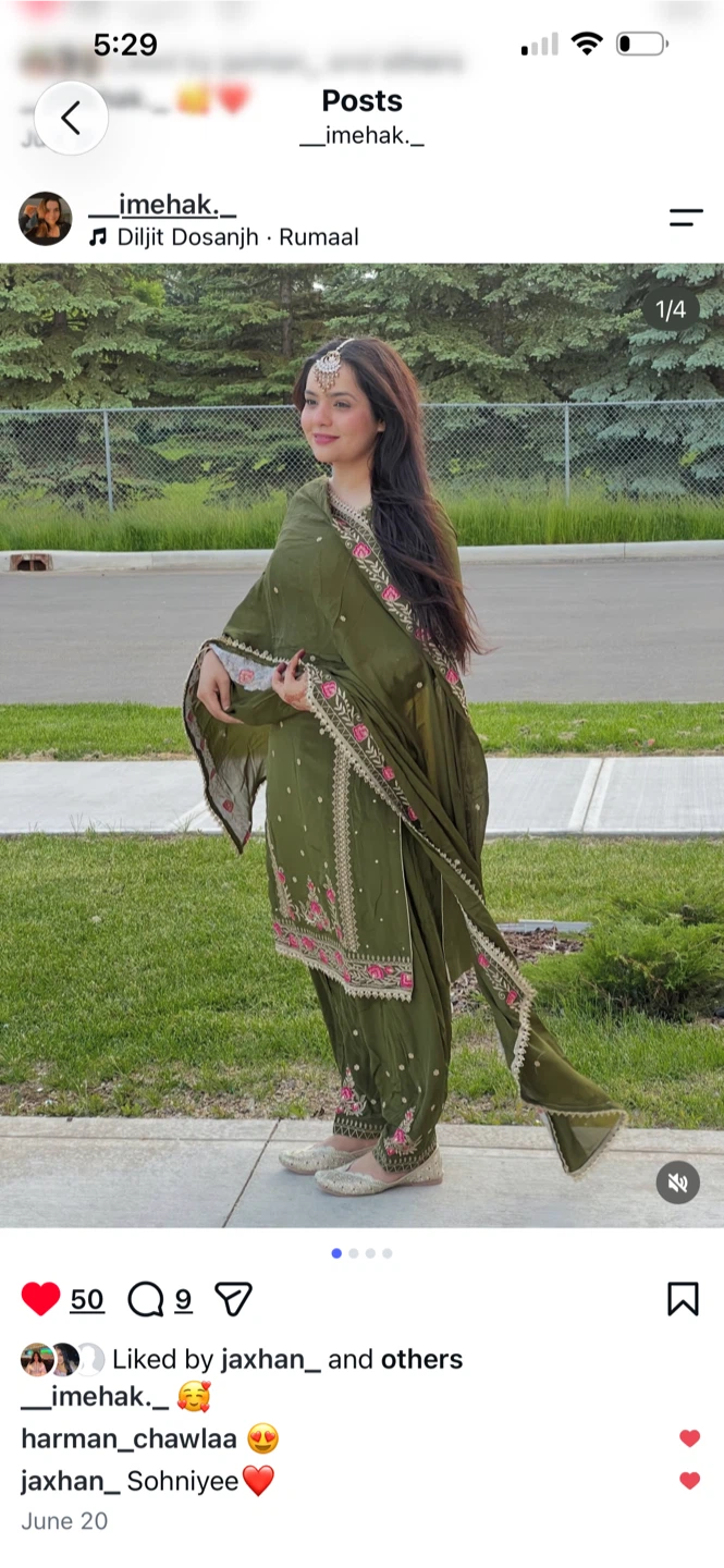 Green Embroidered Punjabi Suit - photo 2