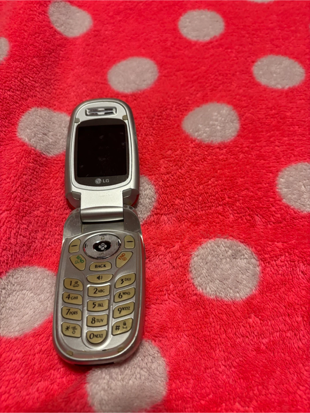 LG Flip Phone