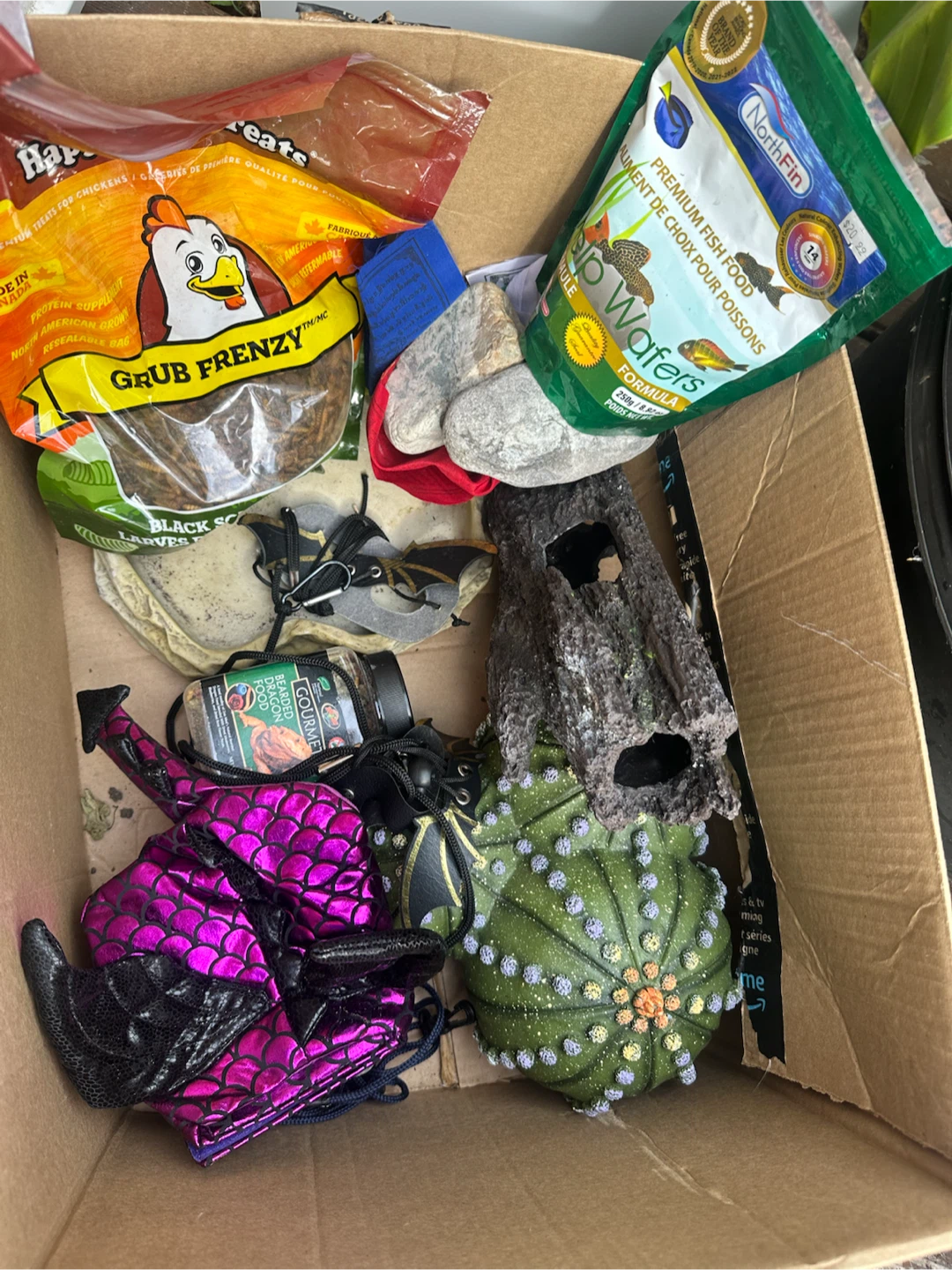 Assorted Reptile Pet Supplies Bundle