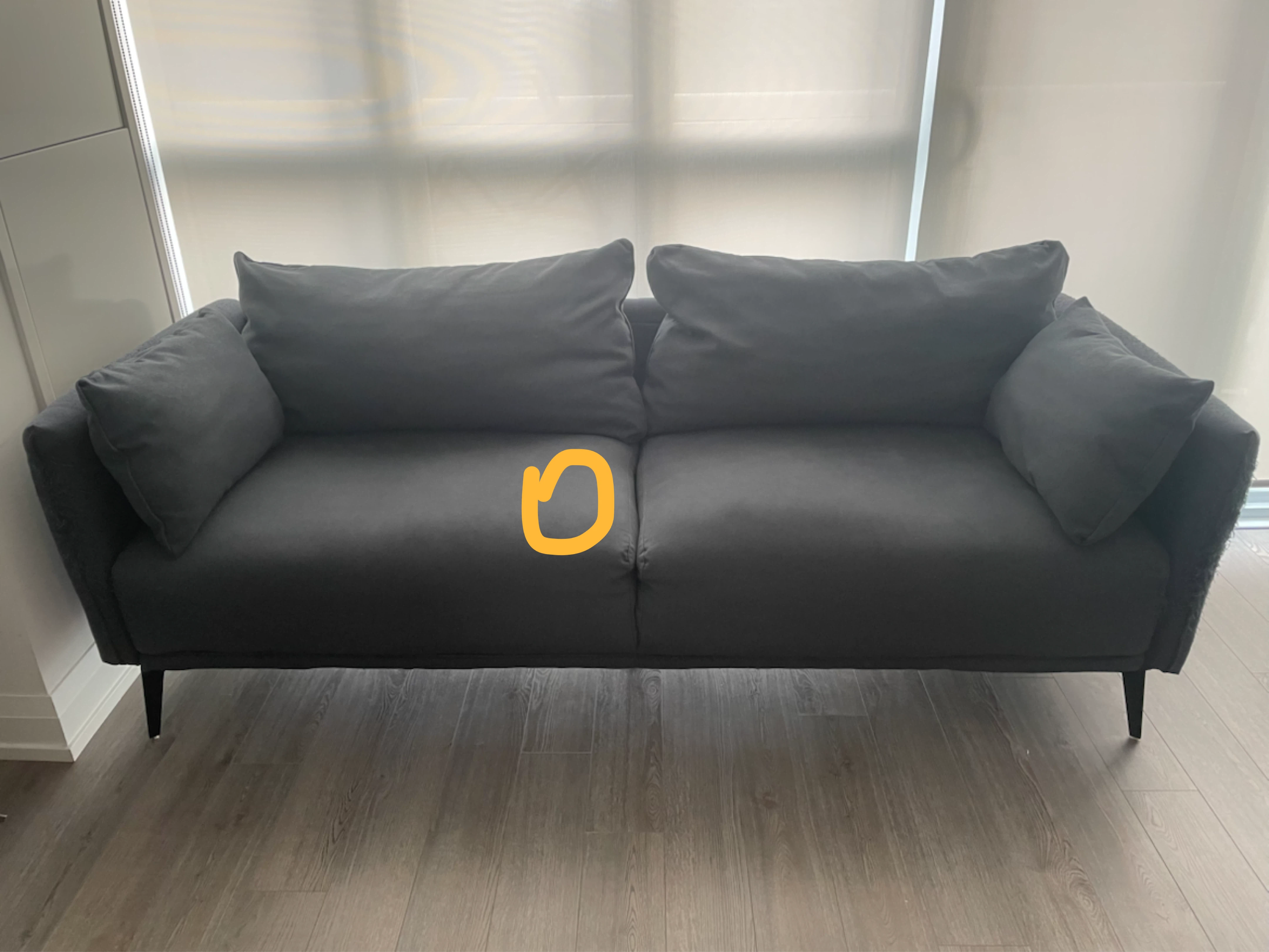 Structube couch