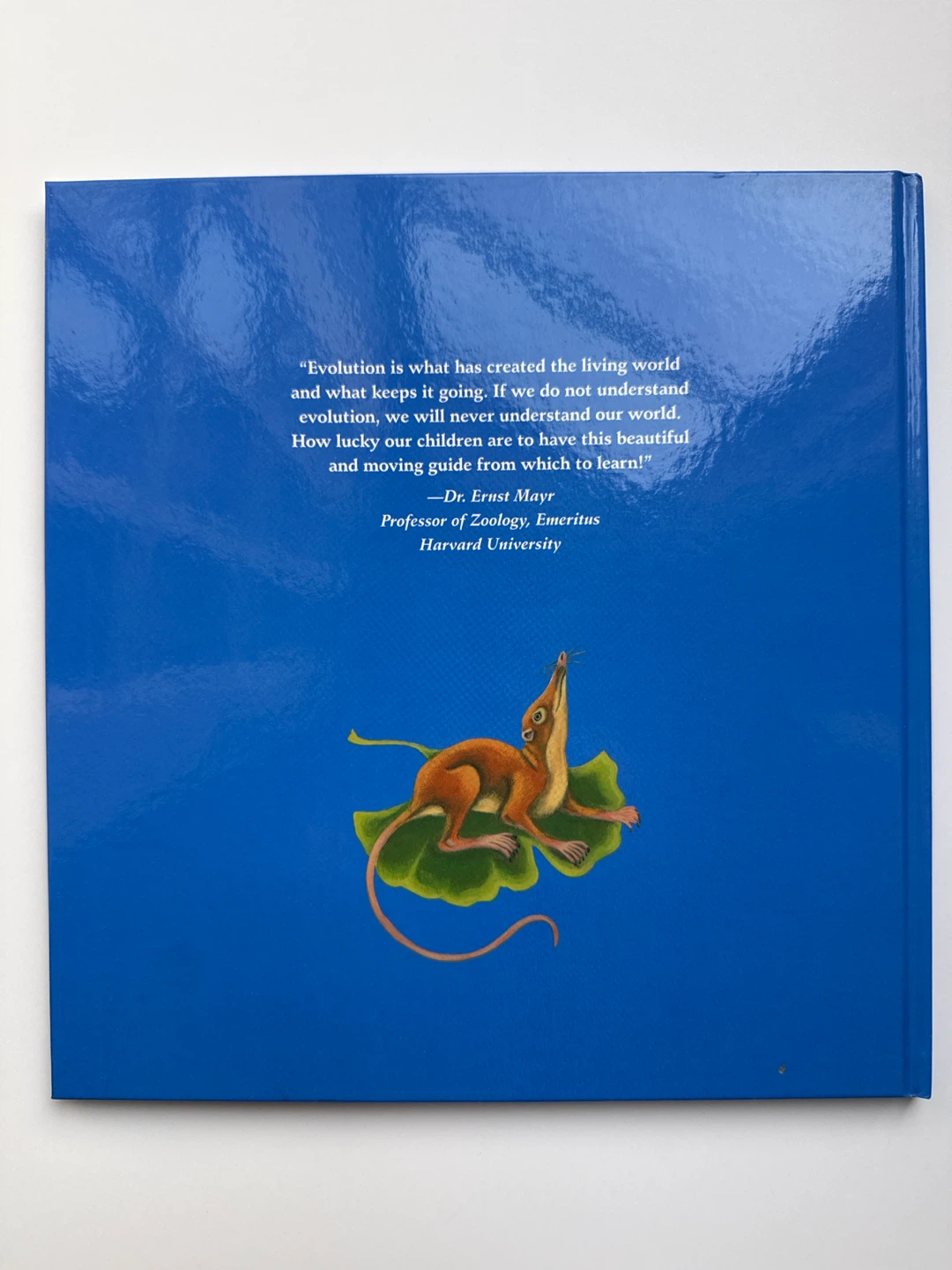 ‘Our Family Tree: An Evolution Story’ Book - photo 2
