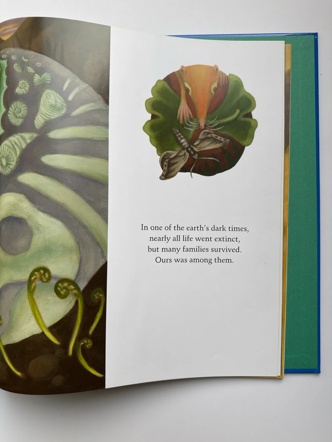 ‘Our Family Tree: An Evolution Story’ Book - photo 4