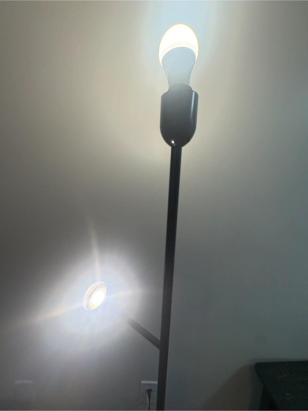 Black Floor Lamp with Adjustable Reading Light - photo 2